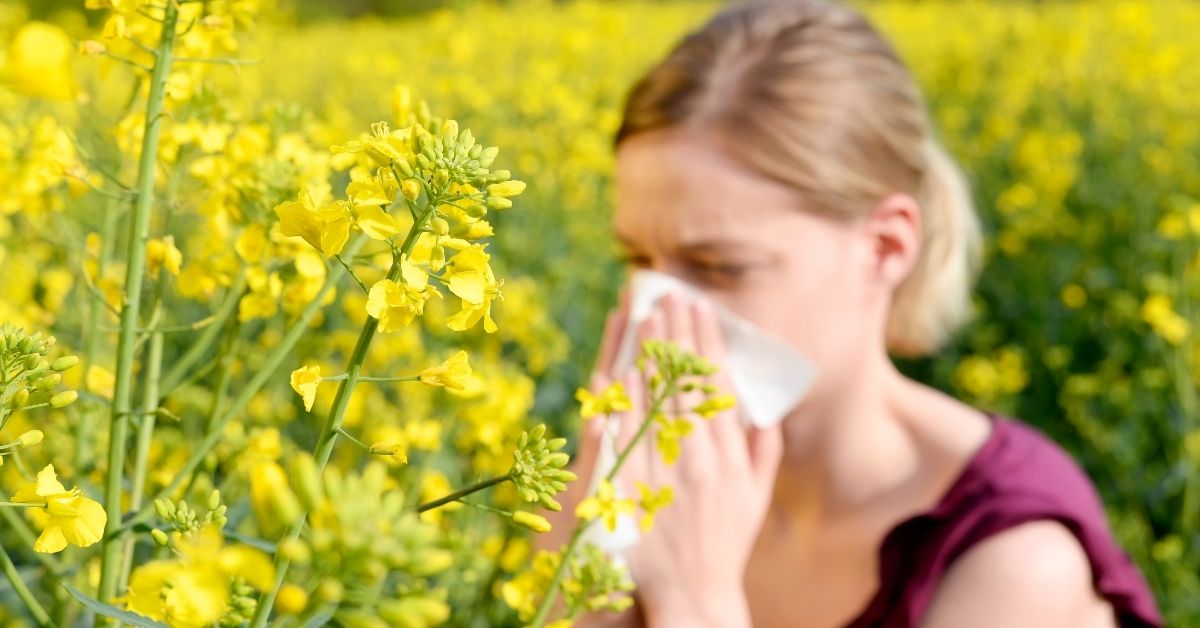 hay fever redditch the wirral middlesbrough