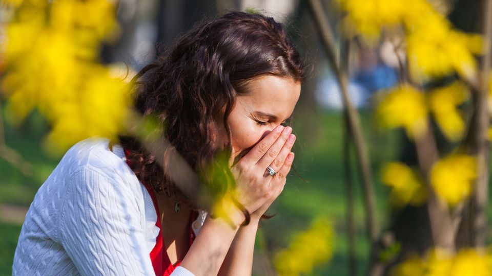 hay fever tablets